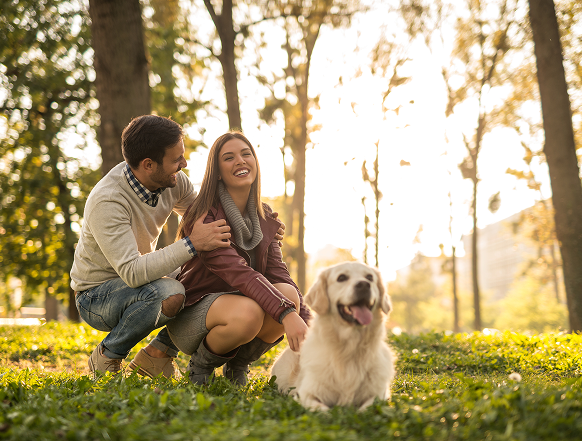 Doğanın Ritminde Bir Gün: Roya Nova’da Lifestyle Deneyimi